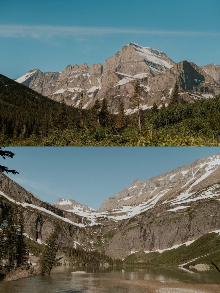 forest mountain landscape glacier national park 