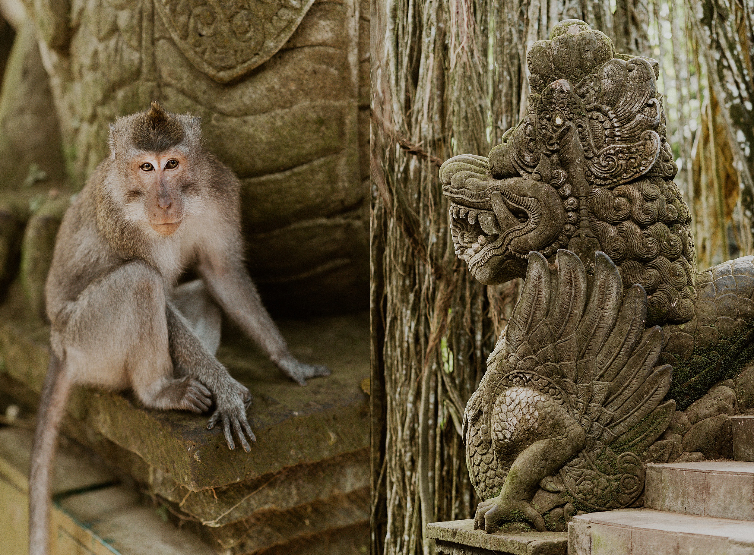 monkey ancient statue bali landscape
