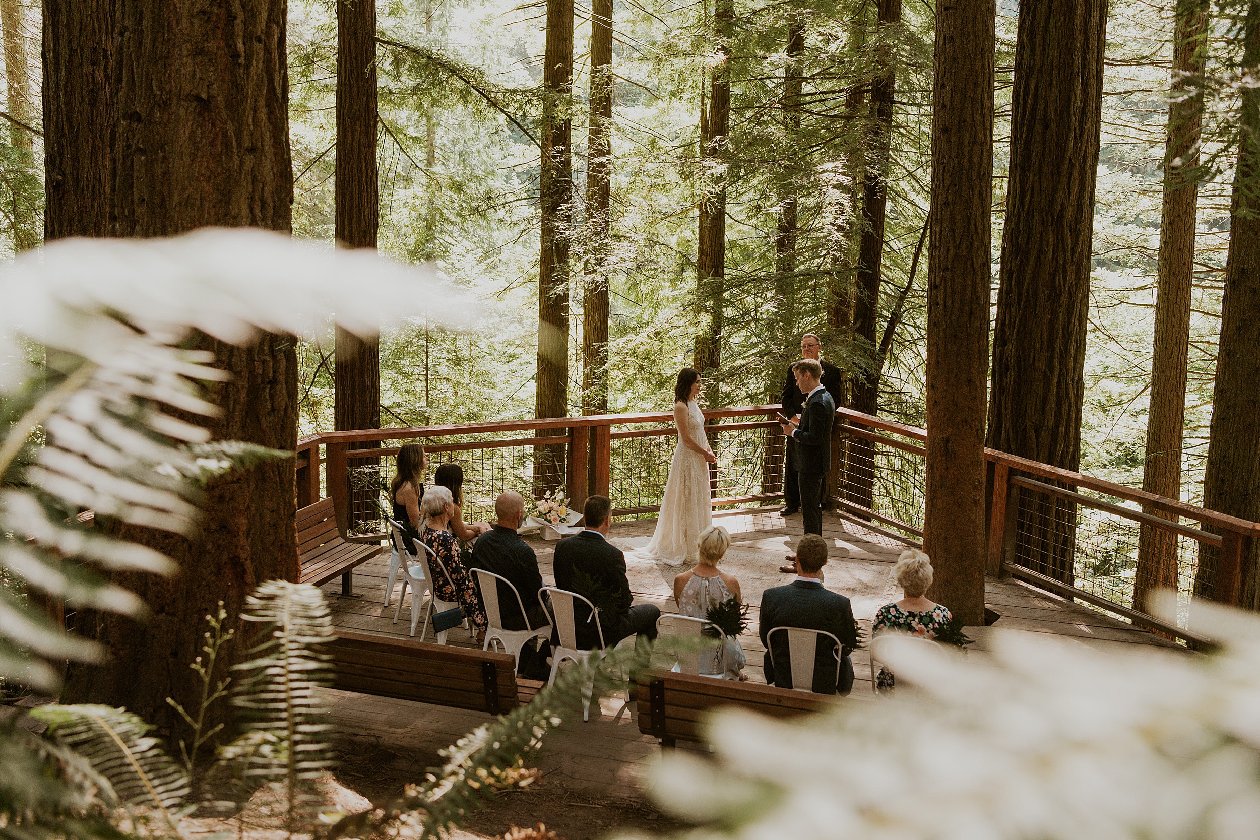 couple getting married in redwoods