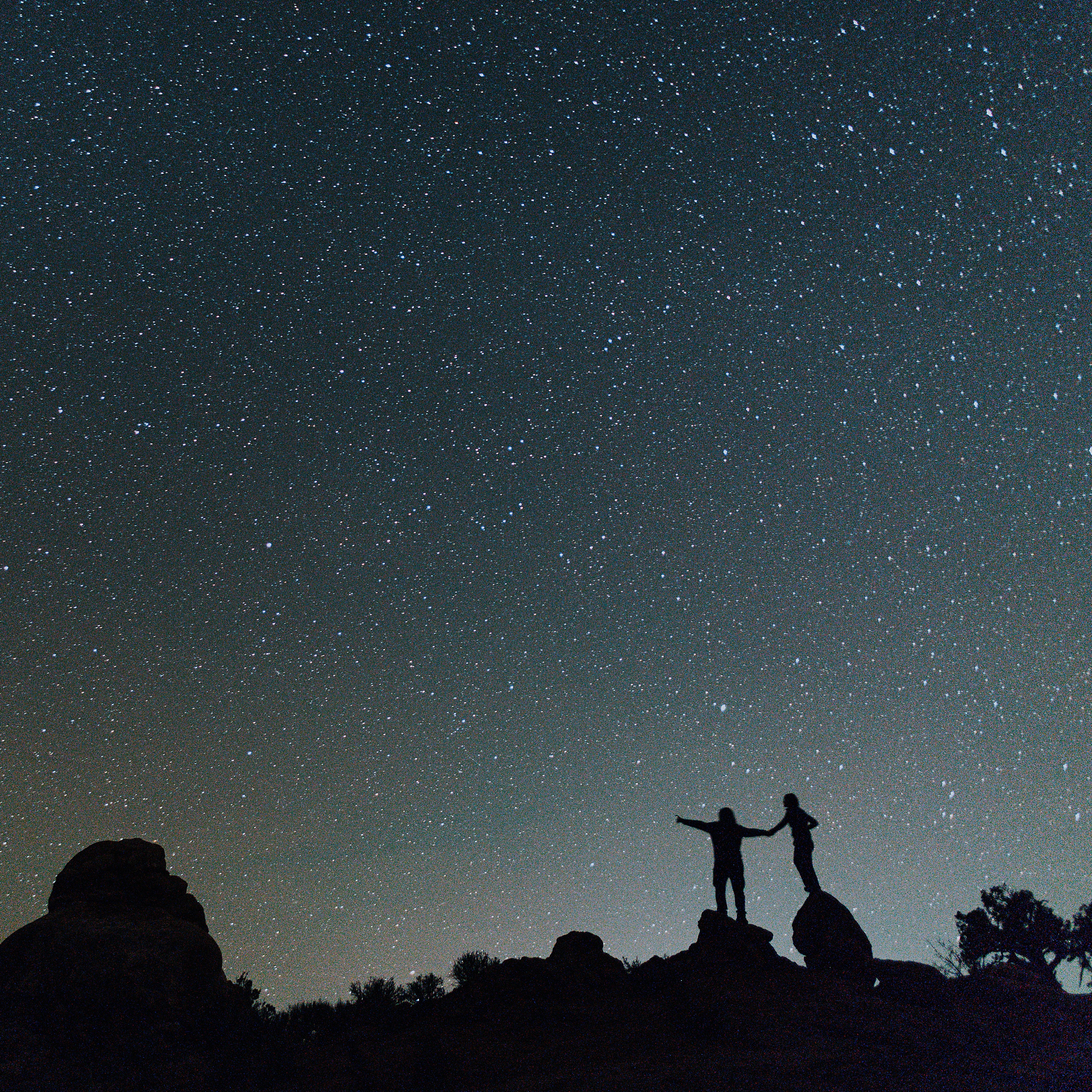 couple pointing at stars