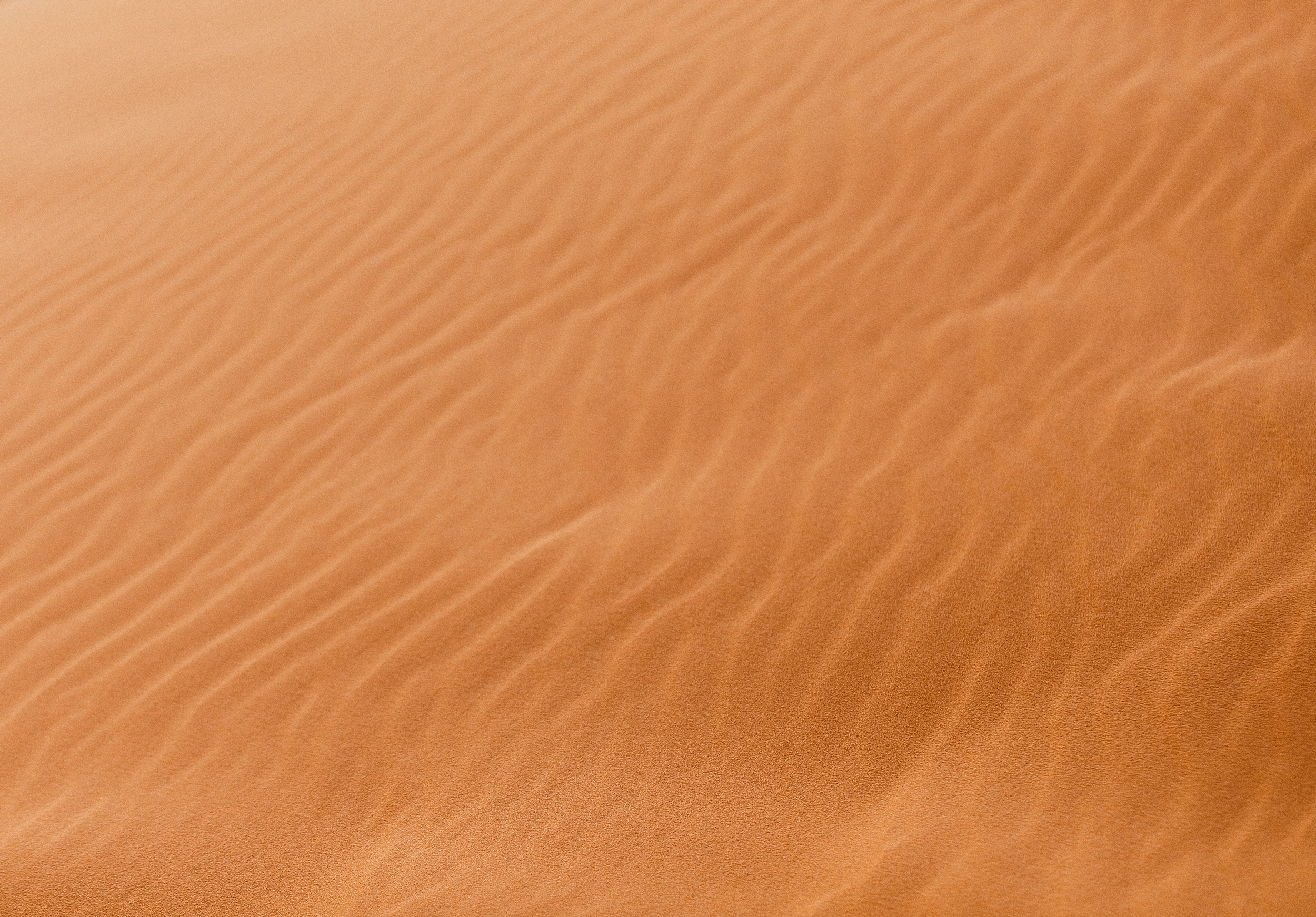 closeup of orange sand dunes